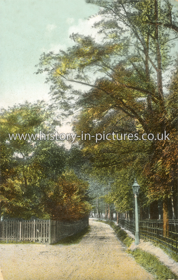 Phipps Hatch Lane, Enfield. Middlesex. c.1911